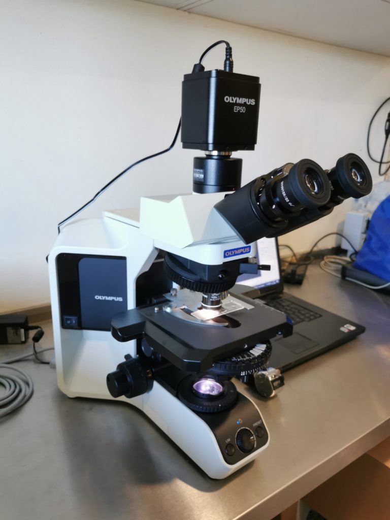 Máquina Microscópio